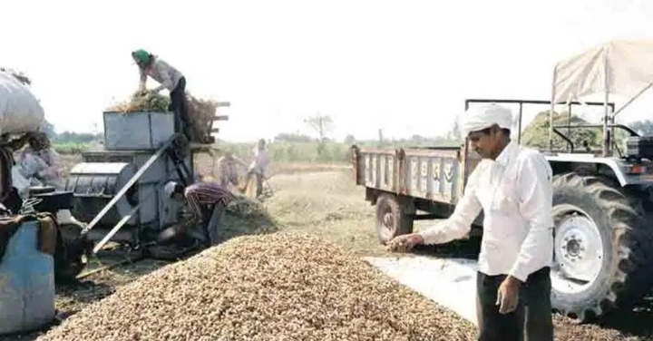 ભાણવડમાં ટેકાના ભાવે મગફળી ખરીદી ધીમી, Mukesh vavnotiya તાલુકા પ્રમુખે કલેક્ટરને આપ્યું આવેદનપત્ર
