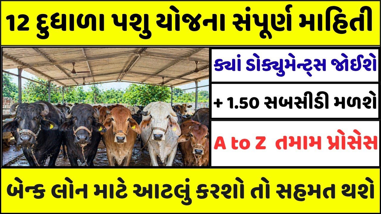 ગુજરાત 12 દુધાળા પશુ ડેરી ફાર્મ સહાય યોજના 2026-27: સંપૂર્ણ માહિતી, પાત્રતા, ડોક્યુમેન્ટ્સ